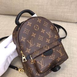 Louis Vuitton Mini Bag Pack 