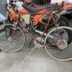 Schwinn Varsity