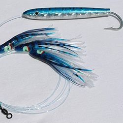 6-Inch Blue/White/Silver Holographic Cedar Plug with Daisy Chain 