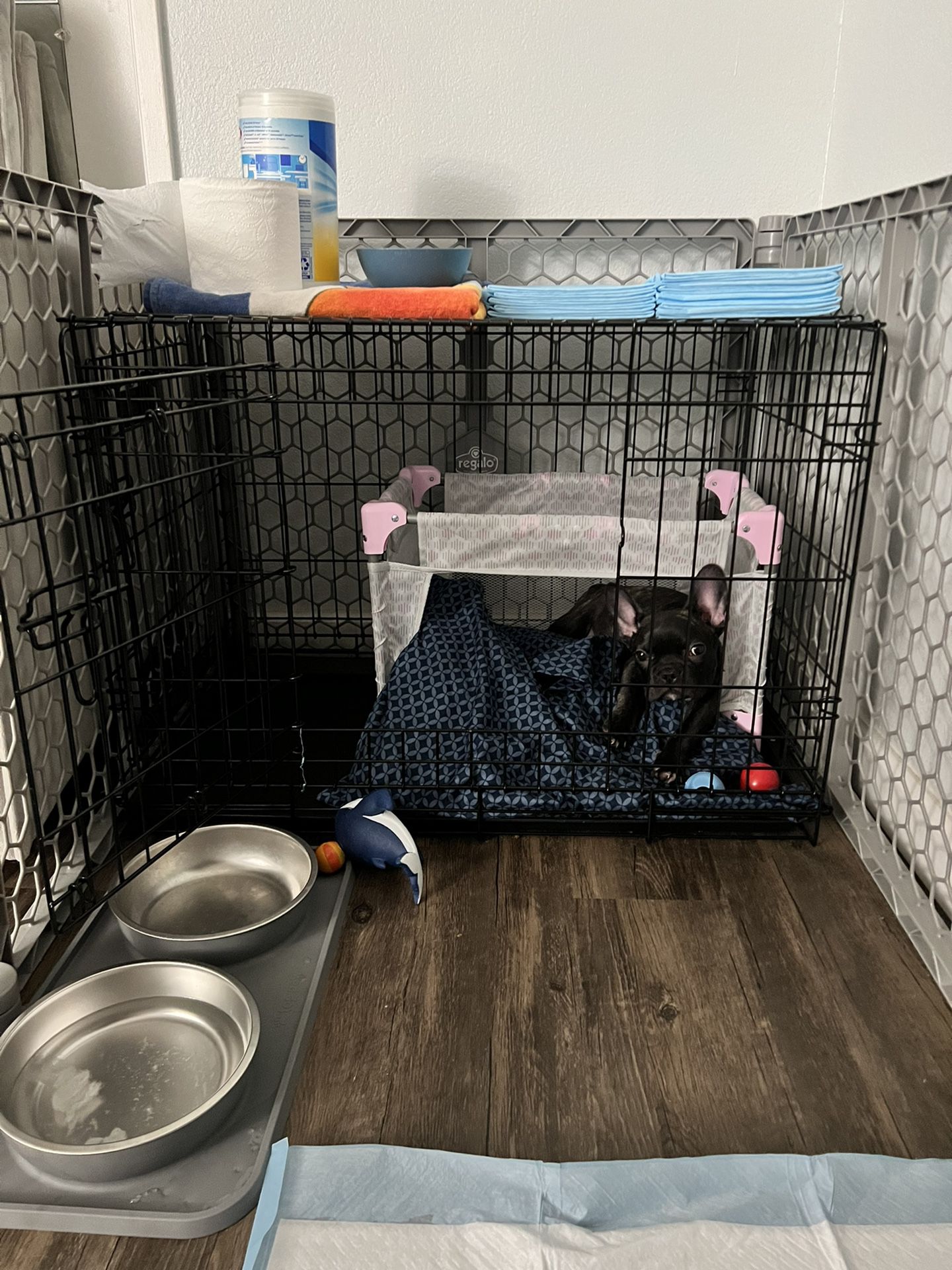 Puppy Fence / Crate