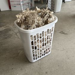 Aquarium Rocks Coral 