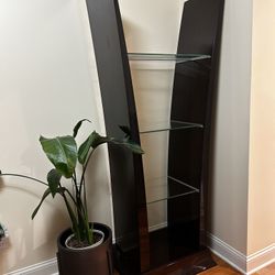 Display Shelf Cabinet with Glass Shelves