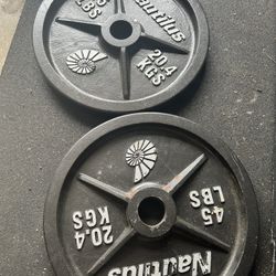 Olympic Weights 2x 45lbs Nautilus