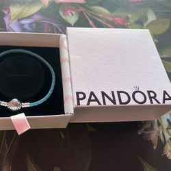 Pandora New