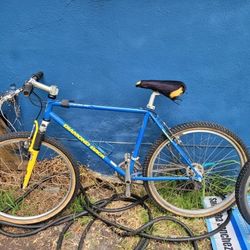 Two Bikes $100 Cash Only