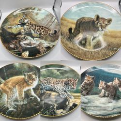Hamilton Collection Vintage 1989 Small Wonders Of The Wild 5 Plates Numbered