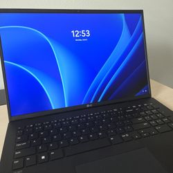 LG Gram 17 inch laptop (only 6 months old, like brand new)