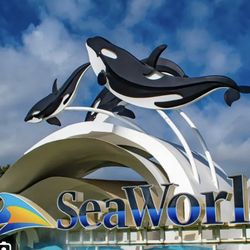 Seaworld Tickets 6