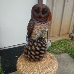Brand new Designer owl On Pinecones Very Detailed High quality Masterpiece