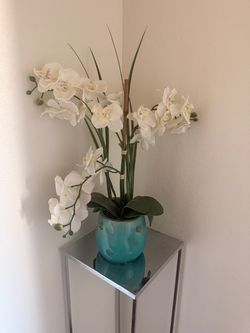 Medium/Large Decorative Orchid Plant – $10