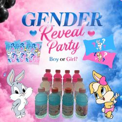 Gender Reveal Party Pack