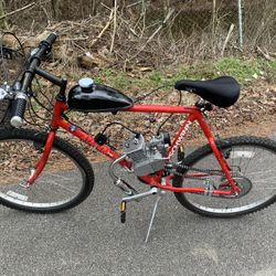 Motor Bike schwinn 