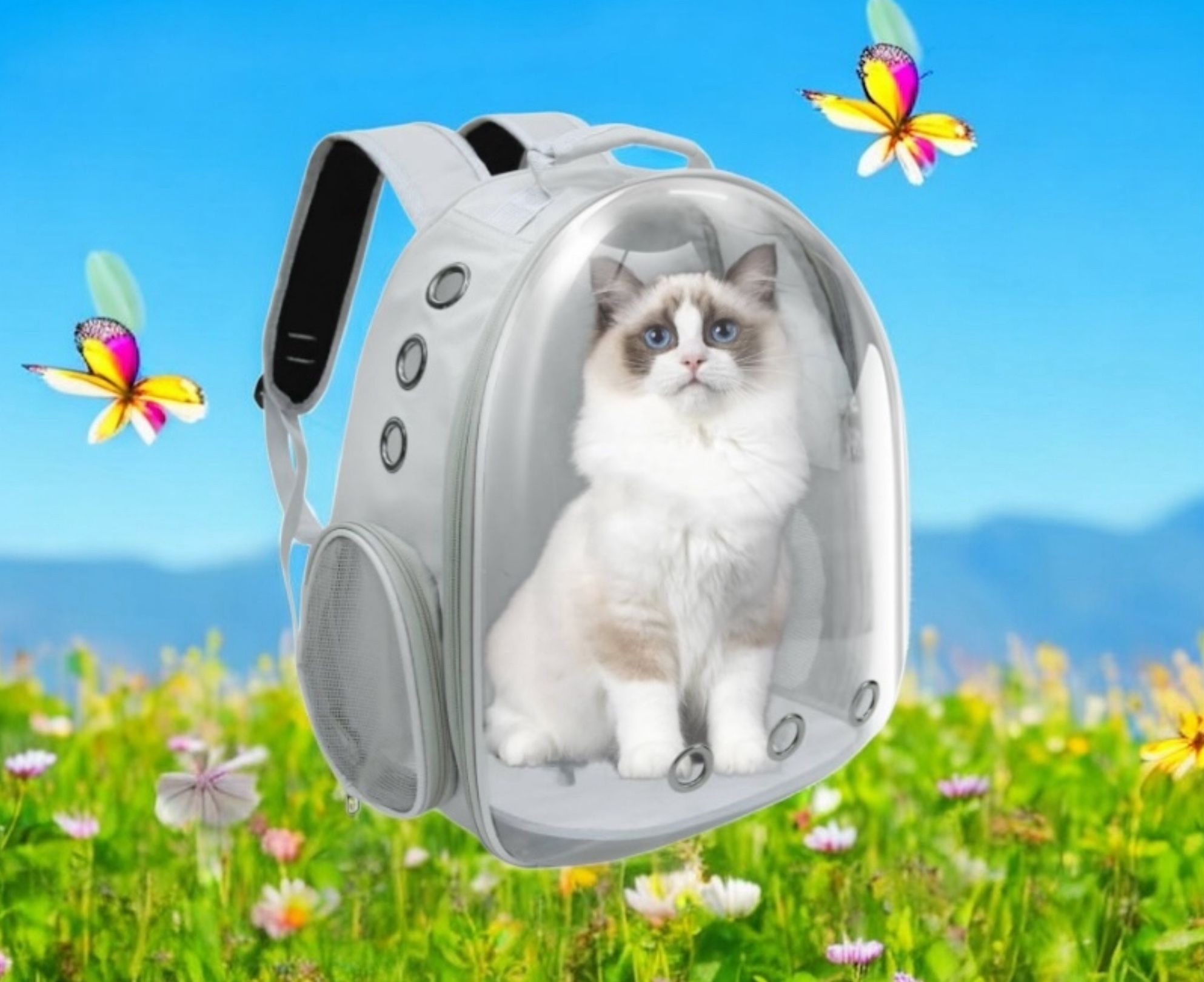 Gray-PetPack Adorable Bubble Carrying Bag for Small, medium dogs Cats, Space Capsule Pet Park, Hiking backpack, Airline Approved Travel Carrier