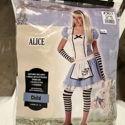 Alice In Wonderland (Child 10-12-large) Costume 