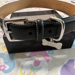 Coach Dog Collar 17”-21” Large 