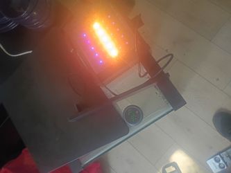 Aquarium