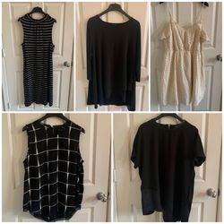 LOT Size Large Women’s - DKNY - Alfani