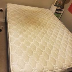 Bed + Box (Flexible On Price)