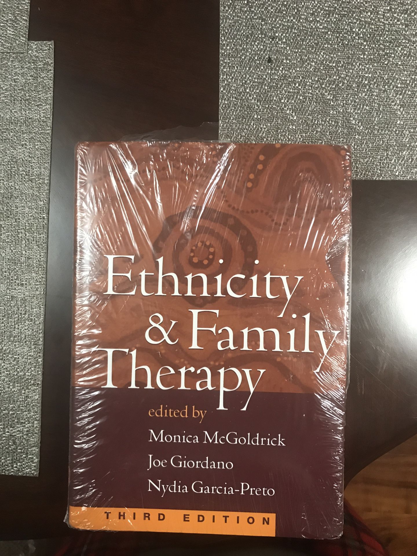Family Therapy Book