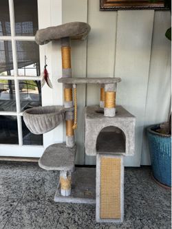 Cat essentials