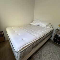 Queen Bed And Box Spring 