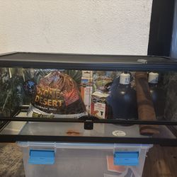 20 Gallon Tank for Bearded Dragon