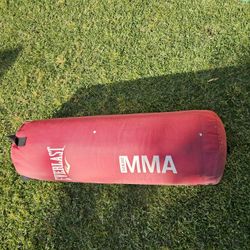 70 Lb MMA Punching Bag