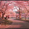 Umashree