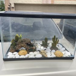 10 gallon fish tank