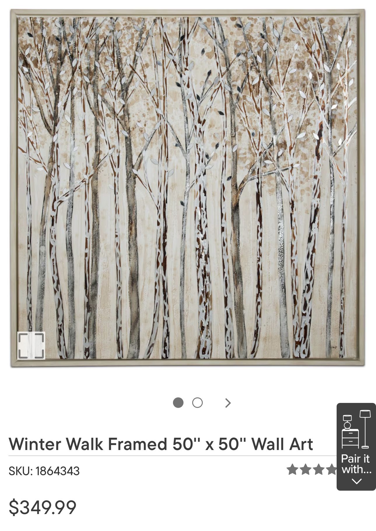 Winter Walk Framed 50”x50” Wall Art