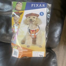 Toy Story and Turtles Ninja Costumes For Pets