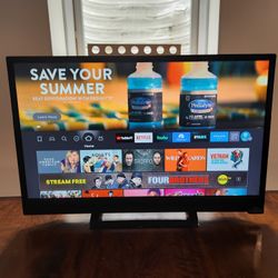 Vizio 24" TV