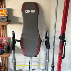 Back Extension Machine