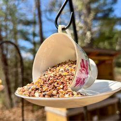 Teacup Bird Feeder
