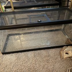 20 Gallon Long Tank 
