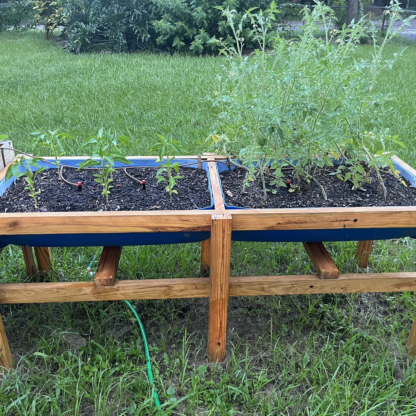 Double Raised Garden Box