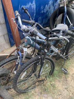 Tengo 3 Visicletas  2 Grandes Una Chica  