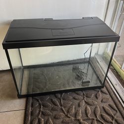 Fish Tank 
