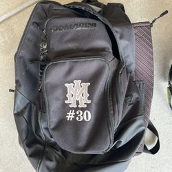 Demarini Softball Bag and Evoshield Helmet
