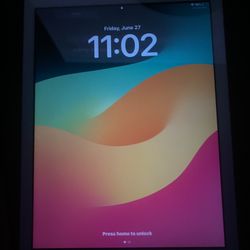 iPad
