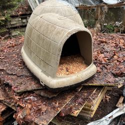 Igloo For Dogs