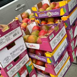 Mango Box