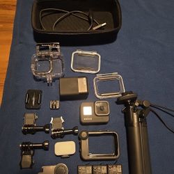 Gopro Hero 8 Black W/accessories 