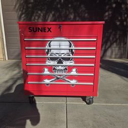 Sunex Toolbox/ Push Cart 