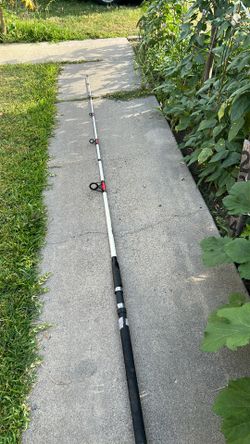 Shakespeare  10 footer