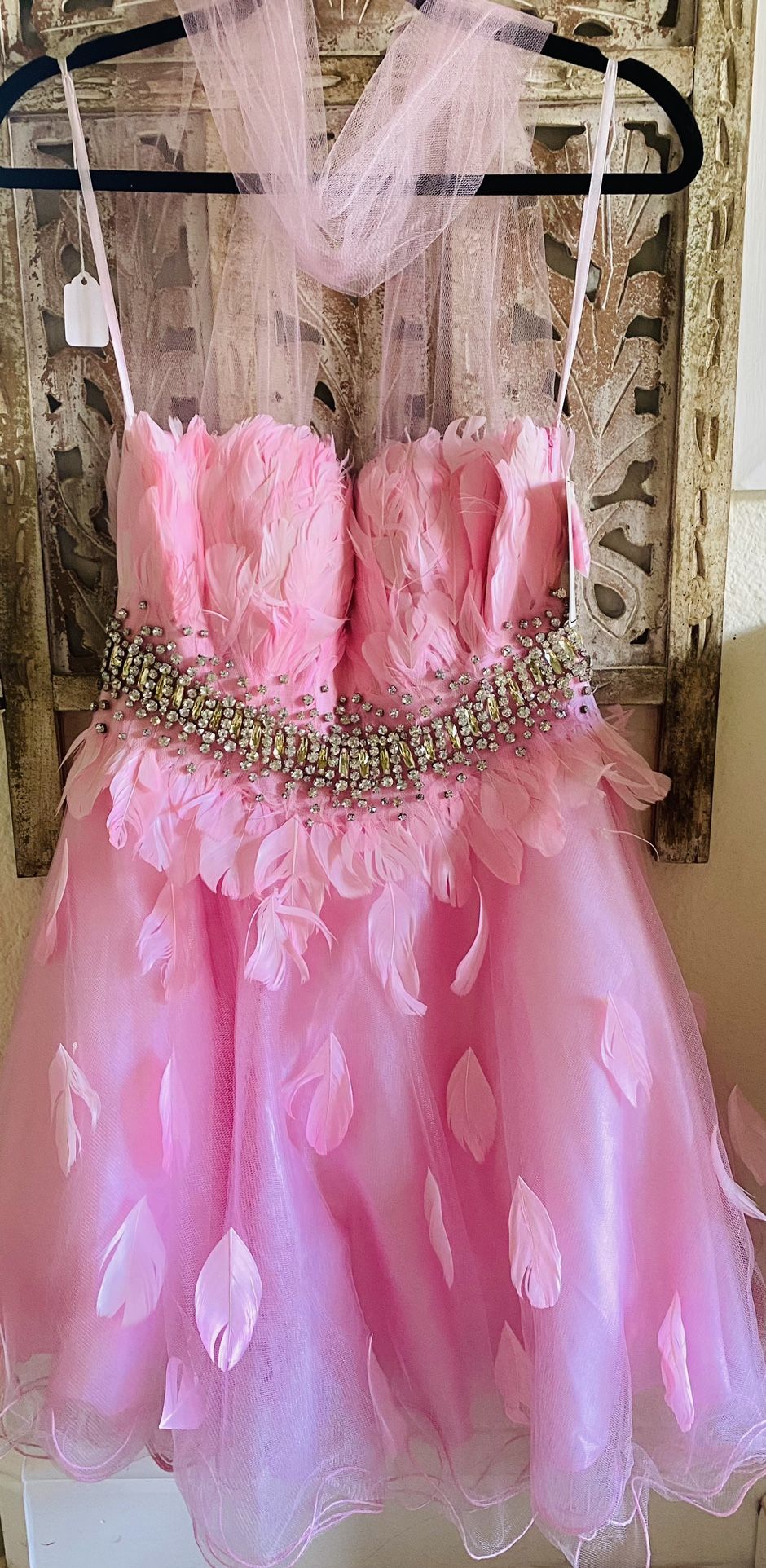 Prom/Quinceñera Dress