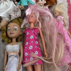 Assortment Of Barbie Dolls And Dolls And Frozen Guitar And Doll And Plants And Flowers