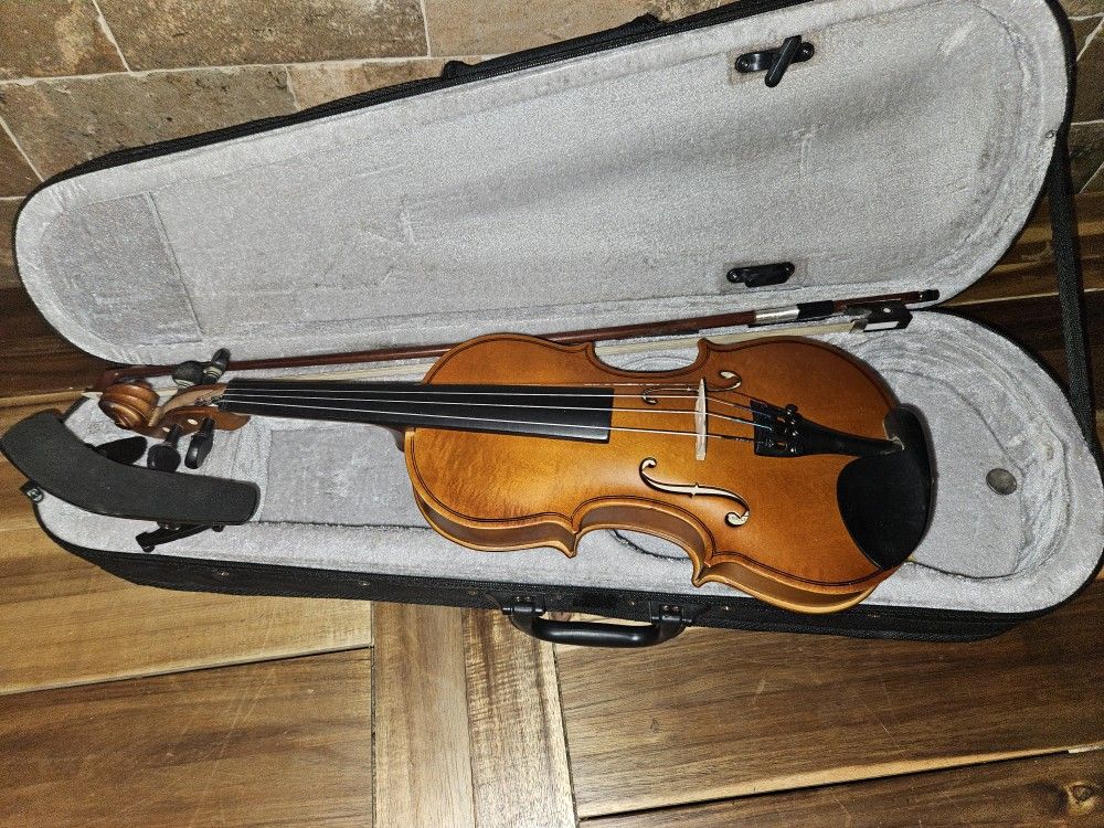 Violin