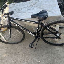 Schwinn Bicycle