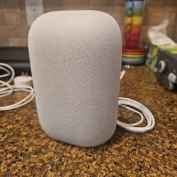 Smart Nest Speaker